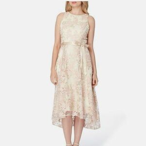 Tahari ASL WOMENS HIGH LOW Dress Champagne/blush 6